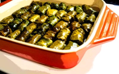 Photo of grape leaves